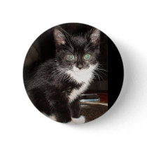 Cute Kitty buttons