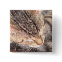 Cute Kitty buttons