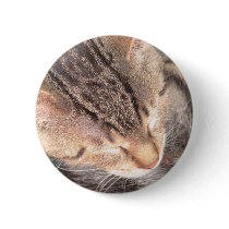 Cute Kitty buttons