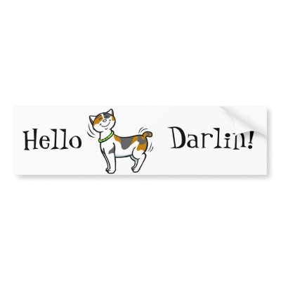 CUTE KITTY CAT BUMPER STICKER by MySpaceStudio