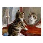 Cute Kitty Cat Vintage Painting by Frank Paton Post Cards