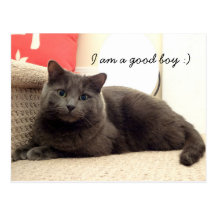 Cute Kitty Dennis -I am a good boy,  Paper Card Post Cards
