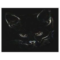 Cute Kitty Flyer