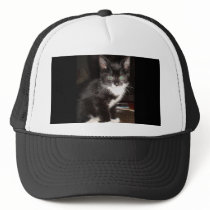 Cute Kitty hats