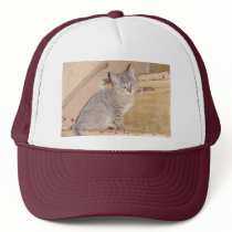Cute Kitty hats by liz5384 Cute Kitty hats