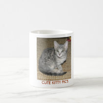 CUTE KITTY PICS I mugs