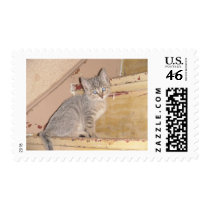 Cute Kitty postage