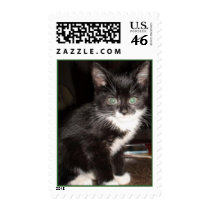 Cute Kitty postage