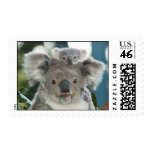 Cute Koala Bear & Baby Postage
