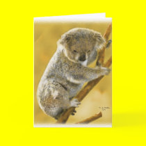 Cute...Koala Bear...Card! cards