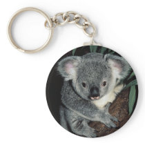 Cute Koala Bear Key Chain