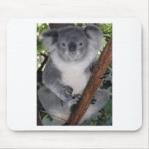 CUTE KOALA BEAR MOUSE PADS
