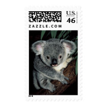 Cute Koala Bear Postage Stamp