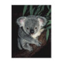 Cute Koala Bear Postcards