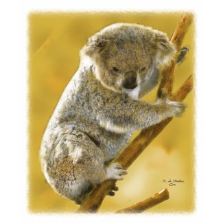 Cute...Koala Bear...T-Shirt and Apparel! shirt