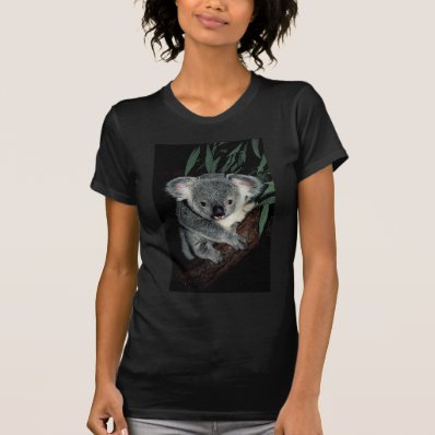 Cute Koala Bear Tee Shirt