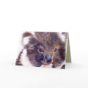 Cute Koala Bear Thank You Cards / Notecards by lillyarts Cute Koala Bear Thank You Cards / Notecards