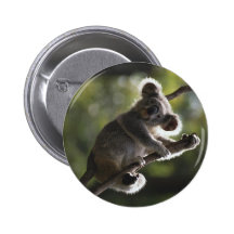 Cute Koala Climbing Button