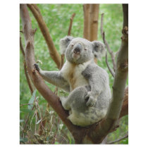 Cute Koala Letterhead Design
