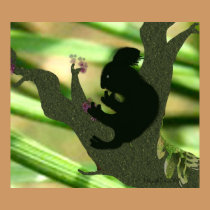 Cute Koala posters