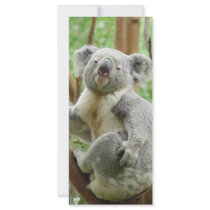 Cute Koala Full Color Rack Card