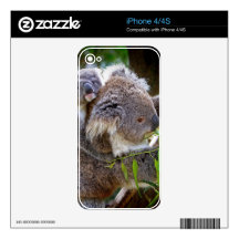 Cute Koalas iPhone 4 Decal
