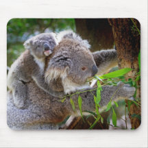 Cute Koalas Mouse Pads