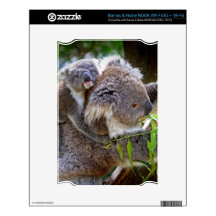 Cute Koalas NOOK Decal