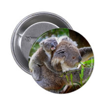 Cute Koalas Pinback Buttons