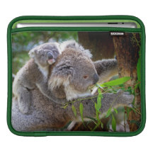 Cute Koalas Sleeve For iPads
