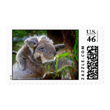 Cute Koalas Stamp