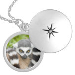 Cute Lemur Stripey Personalized Necklace