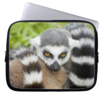 Cute Lemur Stripey Tail Laptop Computer Sleeve