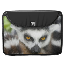 Cute Lemur Stripey Tail MacBook Pro Sleeve
