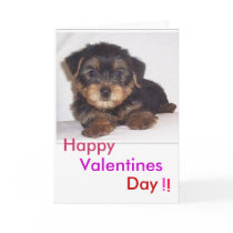 cute lil puppy, Valentines, Day, Happy, !, ! cards by charnay cute lil puppy, Valentines, Day, Happy, !, ! cards