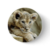 Cute Lion Cub buttons by alternateworlds Cute Lion Cub buttons