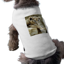Cute Lion Cub pet clothing by alternateworlds Cute Lion Cub pet clothing