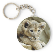 Cute Lion Cub Keychain