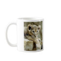 Cute Lion Cub mugs by alternateworlds Cute Lion Cub mugs