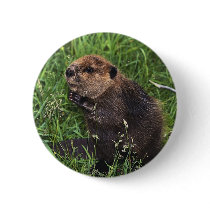 Cute Little Beaver Button
