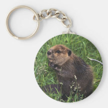 Cute Little Beaver Keychains
