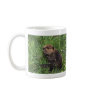 Cute Little Beaver Coffee Mugs