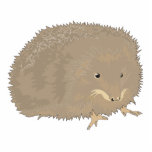 cute little brown hedgehog photo cutout