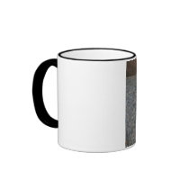 Cute little brown lop mugs