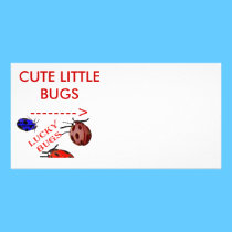 CUTE LITTLE BUGS PHOTO CARD photo cards