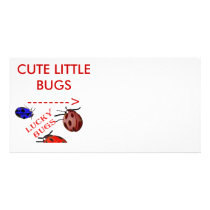CUTE LITTLE BUGS PHOTO CARD