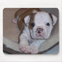 Cute Little Bulldog Puppy Mousepad by debsnet Cute Little Bulldog Puppy Mousepad