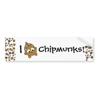 Cute Little Chipmunk Critter bumpersticker