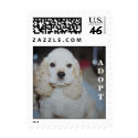 Cute little dog face postage