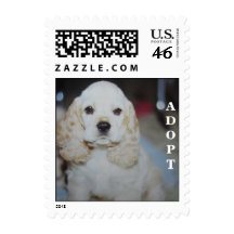 Cute little dog face stamps